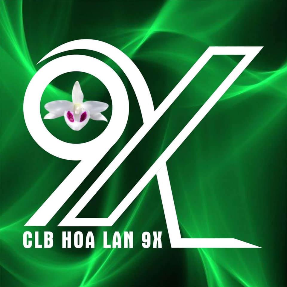 CLB Lan Var 9x