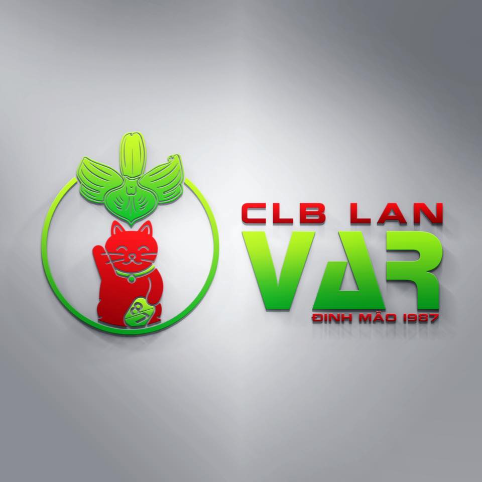 CLB Lan Var Đinh Mão